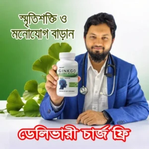focus increase supplement